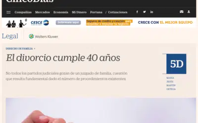 Cinco Días | El divorcio cumple 40 años